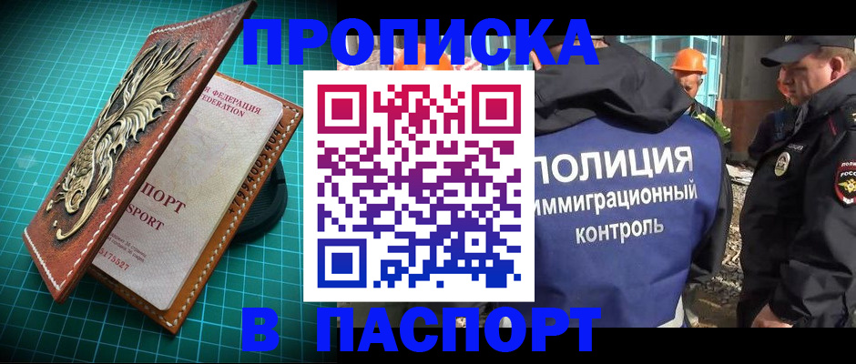 прописка в Сланцах
